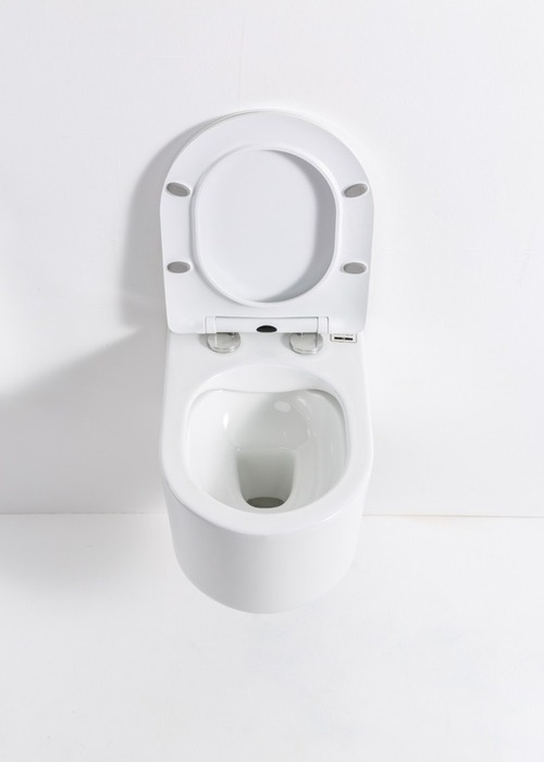 Унитаз подвесной Casa Benelle BC-1003 (вид 1) Унитаз подвесной Casa Benelle BC-1003 (фото, вид 1)