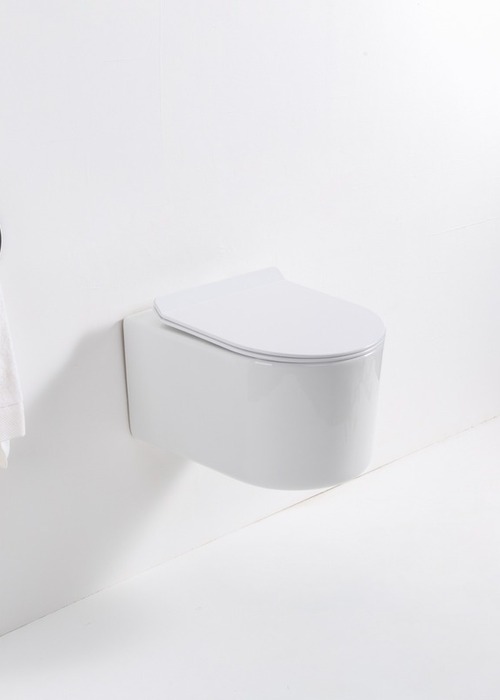 Унитаз подвесной Casa Benelle BC-1003 (вид 2) Унитаз подвесной Casa Benelle BC-1003 (фото, вид 2)