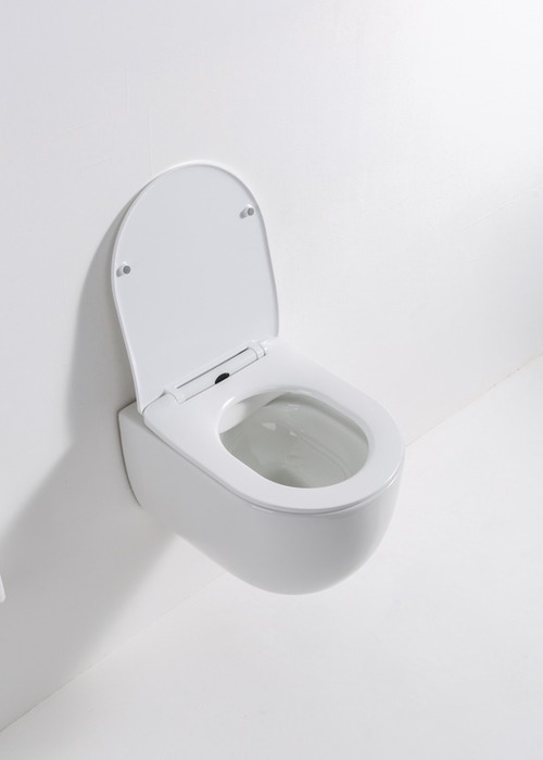 Унитаз подвесной Casa Benelle BC-1004 (вид 1) Унитаз подвесной Casa Benelle BC-1004 (фото, вид 1)