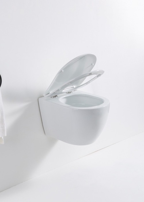 Унитаз подвесной Casa Benelle BC-1007 Tornado (вид 1) Унитаз подвесной Casa Benelle BC-1007 Tornado (фото, вид 1)