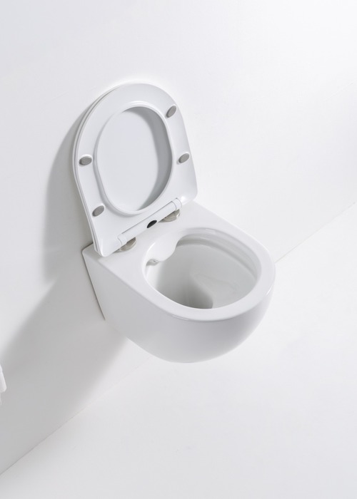 Унитаз подвесной Casa Benelle BC-1001 (вид 1) Унитаз подвесной Casa Benelle BC-1001 (фото, вид 1)