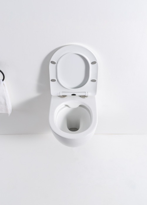 Унитаз подвесной Casa Benelle BC-1001 (вид 2) Унитаз подвесной Casa Benelle BC-1001 (фото, вид 2)