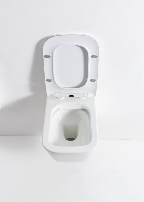 Унитаз подвесной Casa Benelle BC-1002 (вид 1) Унитаз подвесной Casa Benelle BC-1002 (фото, вид 1)