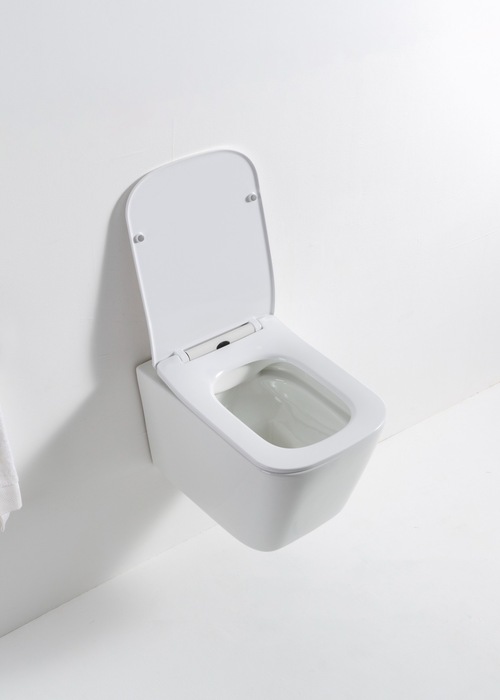 Унитаз подвесной Casa Benelle BC-1002 (вид 2) Унитаз подвесной Casa Benelle BC-1002 (фото, вид 2)