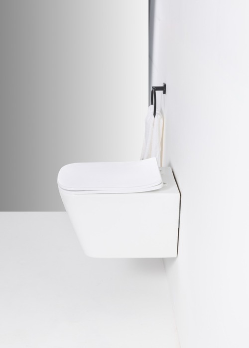 Унитаз подвесной Casa Benelle BC-1002 (вид 5) Унитаз подвесной Casa Benelle BC-1002 (фото, вид 5)