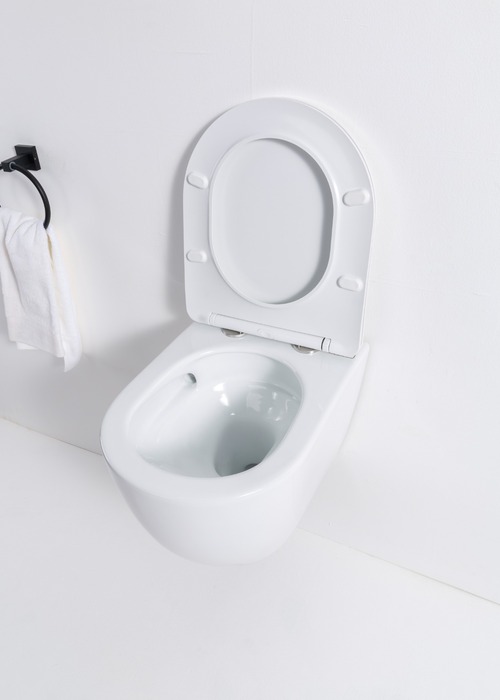 Унитаз подвесной Casa Benelle BC-1007 Tornado (вид 3) Унитаз подвесной Casa Benelle BC-1007 Tornado (фото, вид 3)