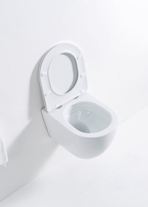 Унитаз подвесной Casa Benelle BC-1007 Tornado (вид 4) Унитаз подвесной Casa Benelle BC-1007 Tornado (фото, вид 4)