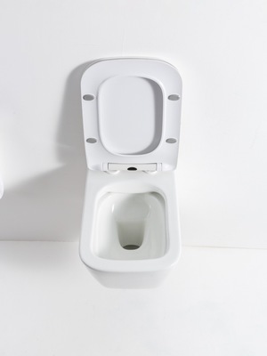 ������ ��������� Casa Benelle BC-1002. ��� 2