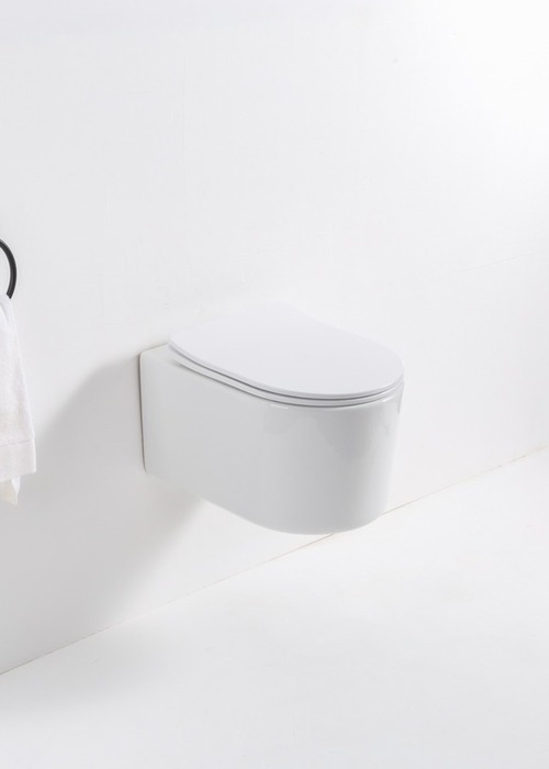 Унитаз подвесной Casa Benelle BC-1003 Унитаз подвесной Casa Benelle BC-1003 (фото)